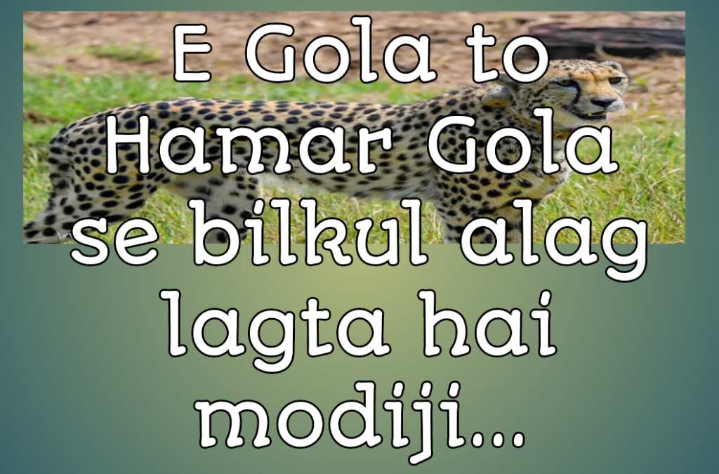 Cheetah Meme template in hindi
